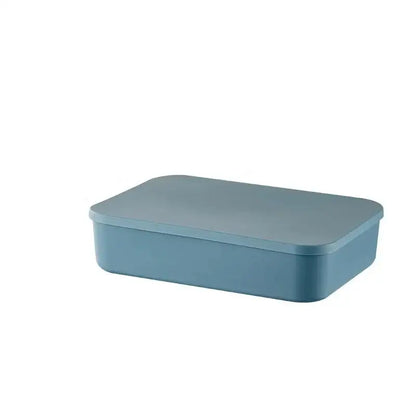 Boite de rangement plastique - Plat grande bleu - boite