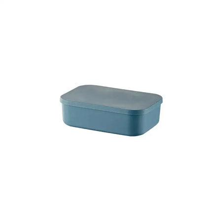 Boite de rangement plastique - Plat moyenne bleu - boite